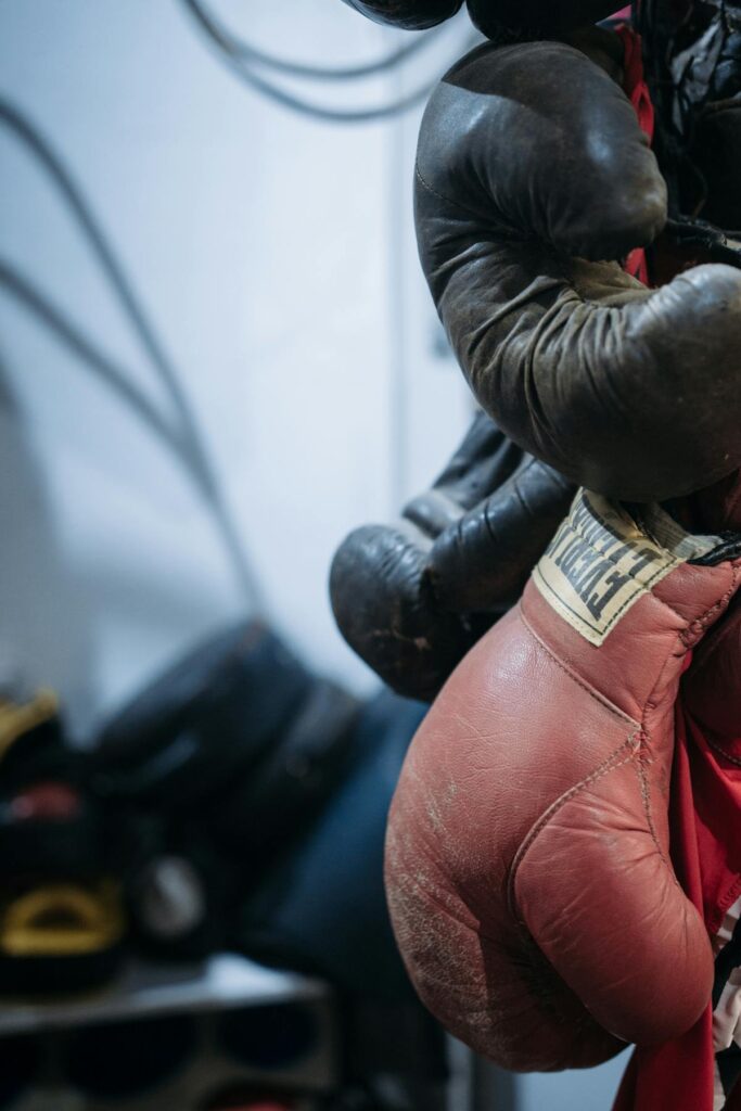 Boxhandschoenen